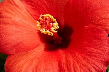 Similar image 5625776