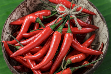 Similar image 5625932