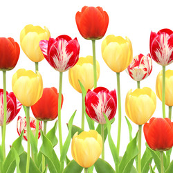 Similar image 5626030