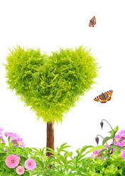 Similar image 5626036