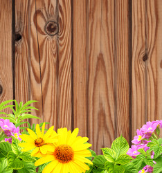 Similar image 5626039