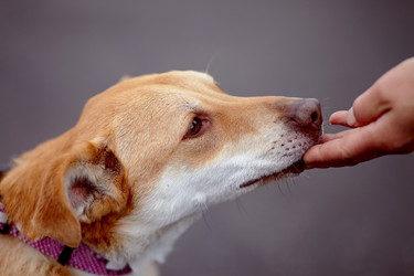 Similar image 5626345