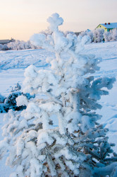 Similar image 5626372