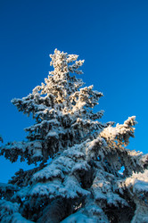 Similar image 5626376