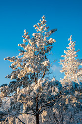 Similar image 5626379