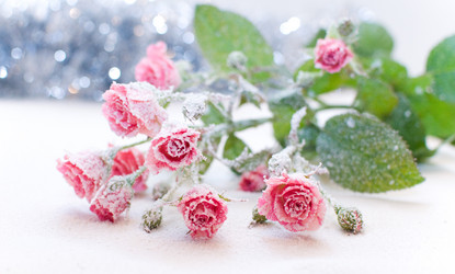 Similar image 5626514