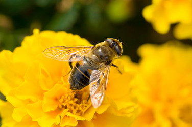 Similar image 5626516