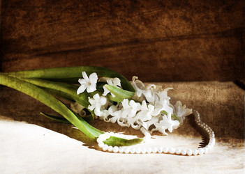 Similar image 5626517