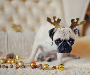 Similar image 5626521