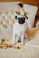 Similar image 5626528