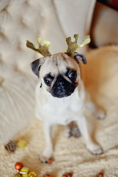 Similar image 5626529