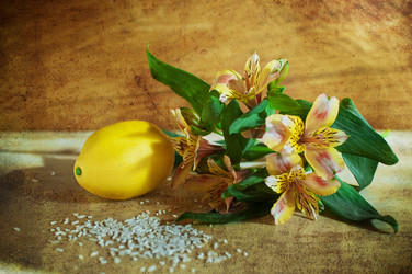 Similar image 5626570