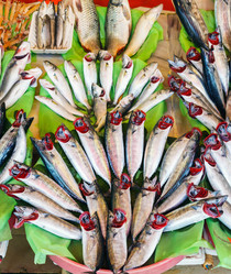 Similar image 5626580