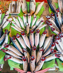 Similar image 5626581