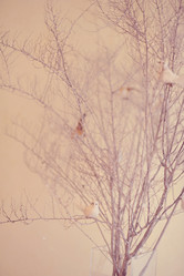 Similar image 5626608