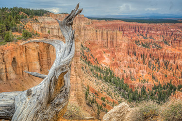 Similar image 5626660