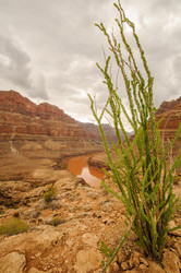 Similar image 5626673