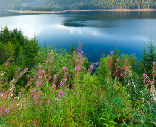 Similar image 5626674