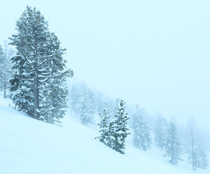 Similar image 5626712