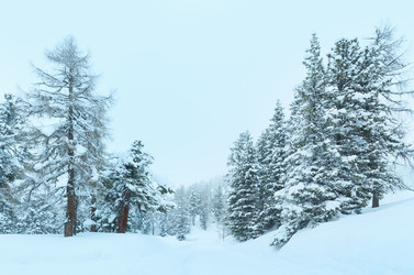 Similar image 5626714