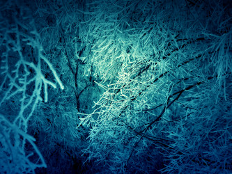 Similar image 5626770