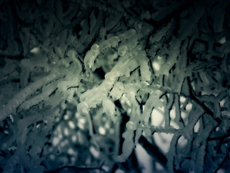 Similar image 5626773