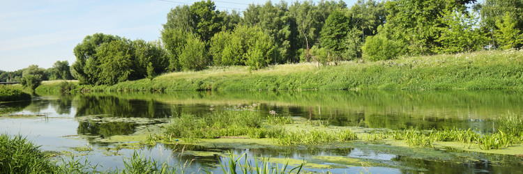 Similar image 5626788