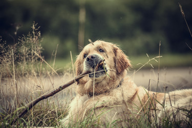 Similar image 5627049