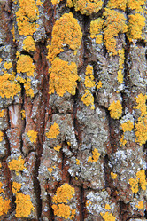 Similar image 5628157