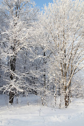 Similar image 5628161