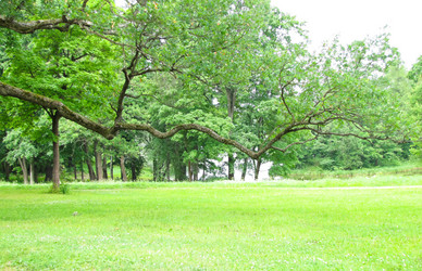 Similar image 5628170