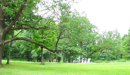 Similar image 5628172