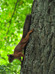 Similar image 5628180