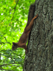 Similar image 5628184