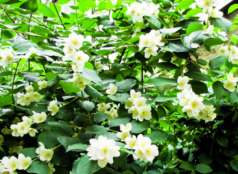 Similar image 5628187