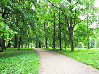 Similar image 5628188