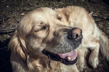 Similar image 5628259