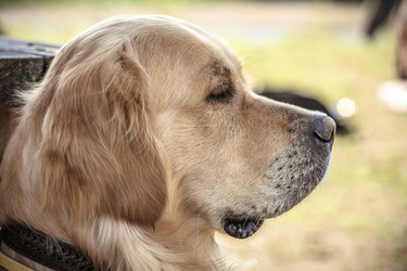 Similar image 5628260