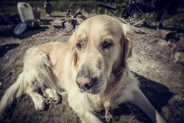 Similar image 5628263