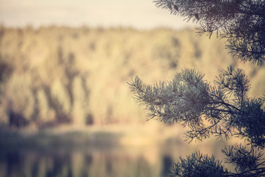 Similar image 5628266