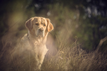 Similar image 5628269