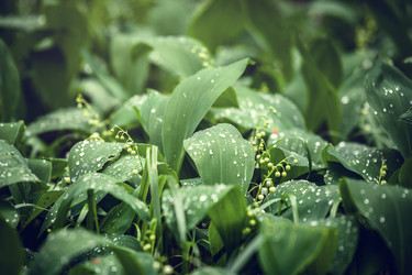 Similar image 5628277