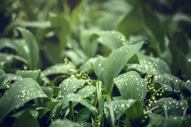 Similar image 5628278