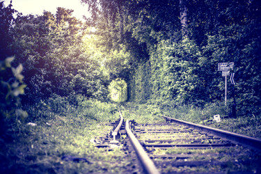 Similar image 5628279