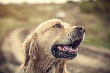 Similar image 5628281