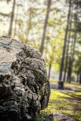 Similar image 5628292