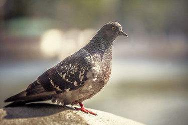 Similar image 5628293