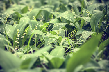 Similar image 5628294