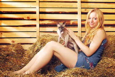 Similar image 5628309