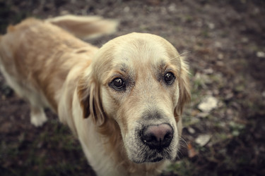 Similar image 5628311